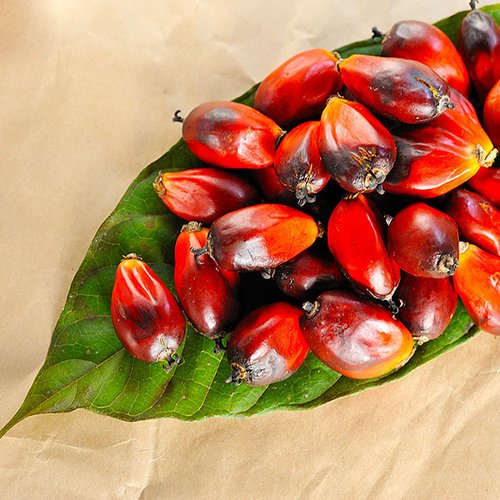 Palm oil with leaf
